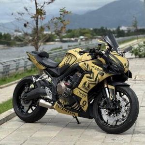 Motorcycles 600-1000cc